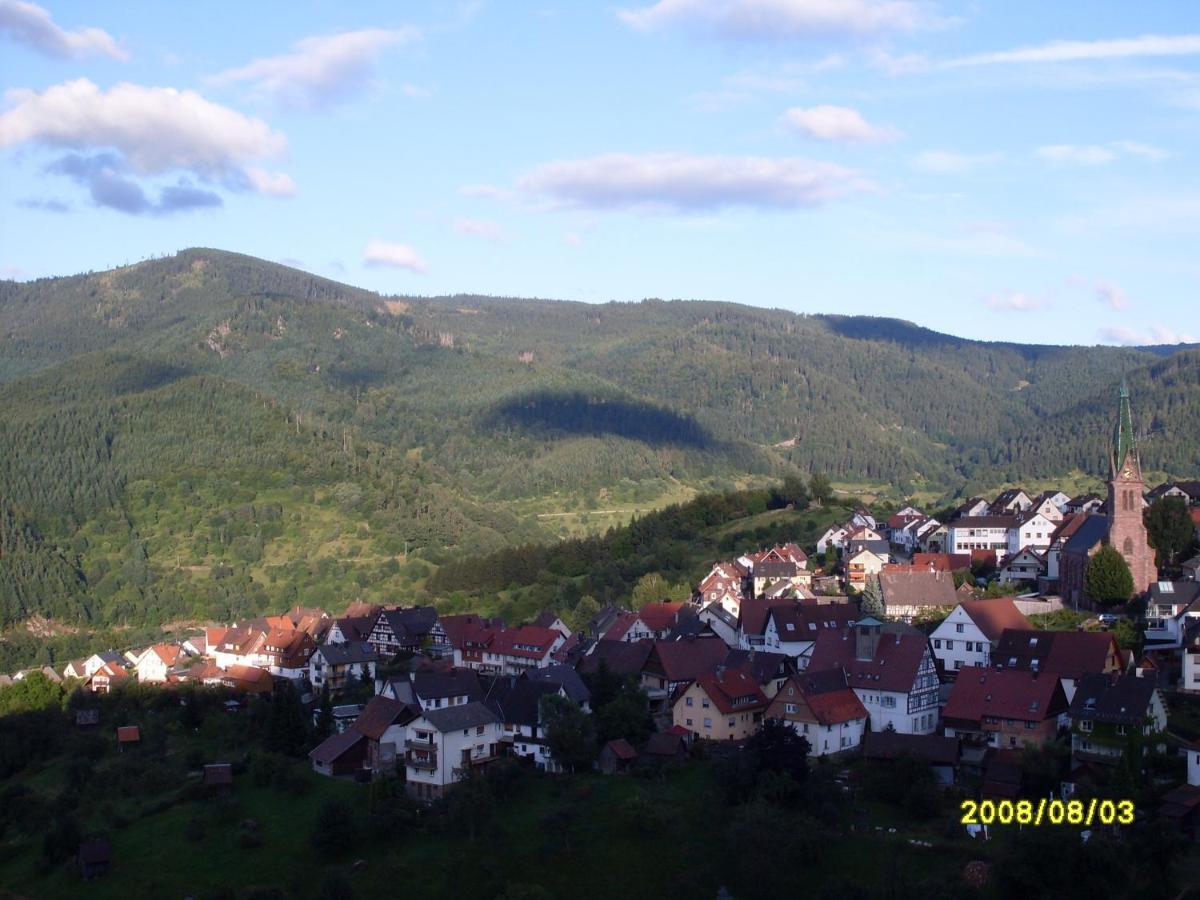 Appartement Am Keschtewaeldele **** à Forbach Extérieur photo